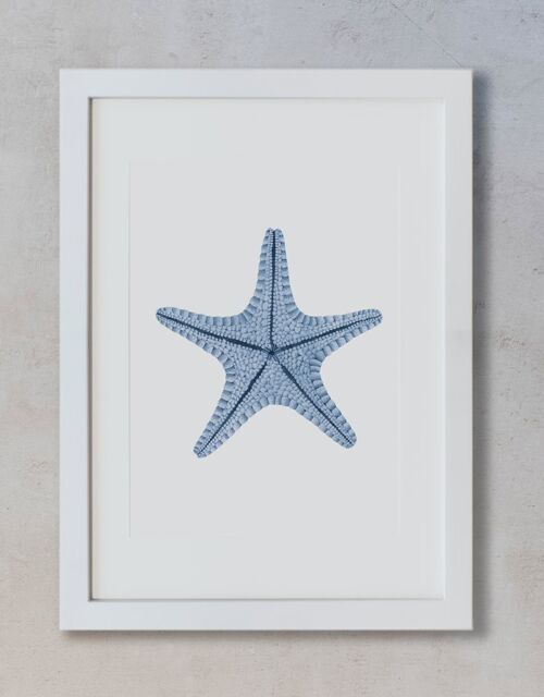 Acuarela Botánica A4 - Estrella de mar