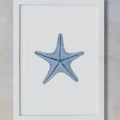 Botanical Watercolor A4 - Starfish