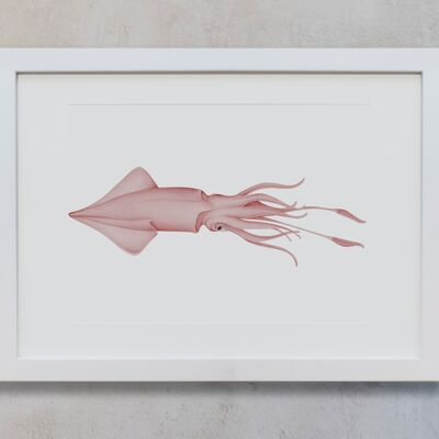 Botanisches Aquarell A4 - Tintenfisch