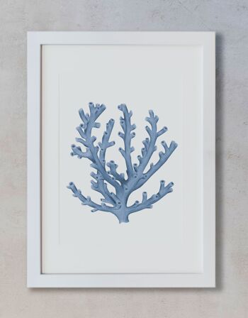 Aquarelle Botanique A3 - Corail Bleu