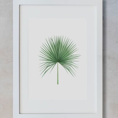 Botanical Watercolor A3 - Palm Tree 2