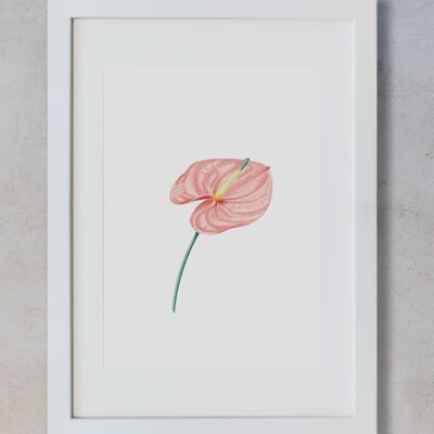Botanical Watercolor A3 - Anthurium Save the date projects