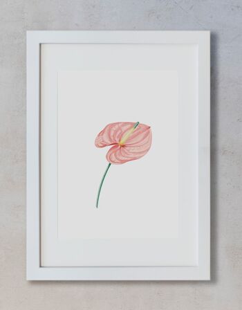 Aquarelle Botanique A3 - Anthurium Save the date projets