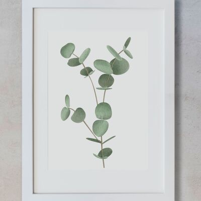 Botanical Watercolor A3 - Eucalyptus