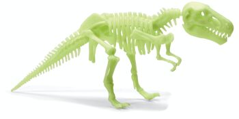 Glow Dinos T. rex Squelette 4