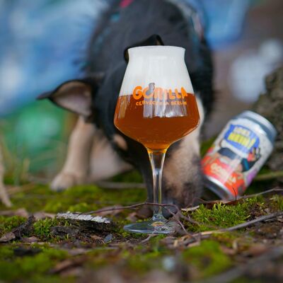 Loki No (Bière/Session IPA)