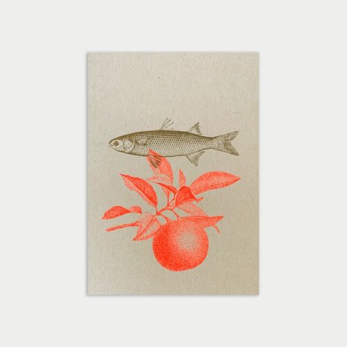 Postkarte / Fisch & Orange / Ökopapier / Pflanzenfarbe