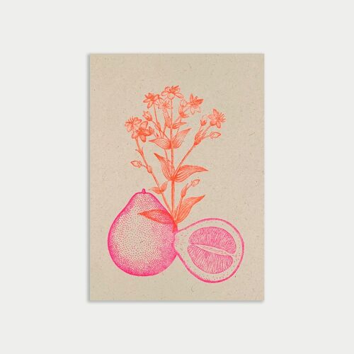 Postkarte / Pomelo / Ökopapier / Pflanzenfarbe