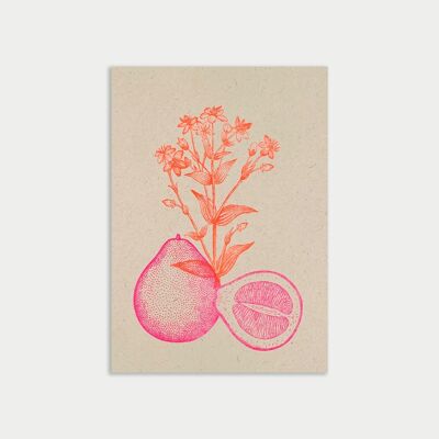 Postkarte / Pomelo / Ökopapier / Pflanzenfarbe