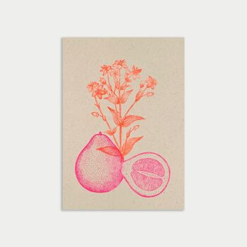 Carte postale / pomelo / papier éco / teinture végétale 1