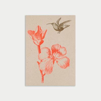 Postal / flor con colibrí / papel ecológico / colorante vegetal