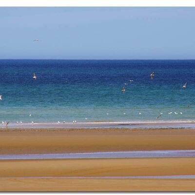 Mural: seagulls on the beach - landscape format 4:3 - many sizes & materials - exclusive photo art motif as a canvas picture or acrylic glass picture for wall decoration