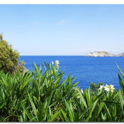 Papier peint : Lauriers roses de Crète au-dessus de la baie - Format paysage 4:3 - Nombreuses tailles et matériaux - Motif d'art photographique exclusif sous forme d'image sur toile ou d'image en verre acrylique pour la décoration murale