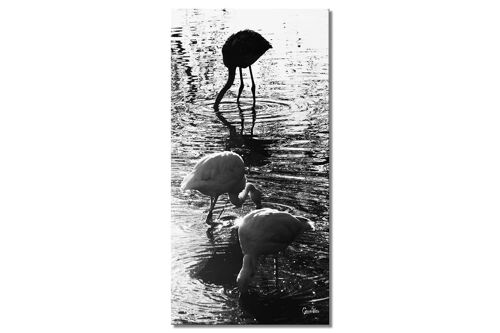 Wandbild: Flamingos 2 - Hochformat 1:2 - viele Größen & Materialien – Exklusives Fotokunst-Motiv als Leinwandbild oder Acrylglasbild zur Wand-Dekoration