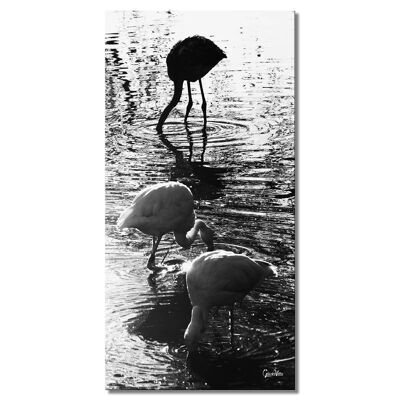 Wandbild: Flamingos 2 - Hochformat 1:2 - viele Größen & Materialien – Exklusives Fotokunst-Motiv als Leinwandbild oder Acrylglasbild zur Wand-Dekoration