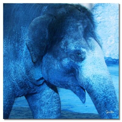 Mural: Mi amigo el elefante 1 - cuadrado 1:1 - muchos tamaños y materiales - motivo exclusivo de arte fotográfico como lienzo o imagen de vidrio acrílico para decoración de paredes