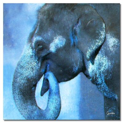 Mural: Mi amigo el elefante 2 - Cuadrado 1:1 - Muchos tamaños y materiales - Motivo de arte fotográfico exclusivo como cuadro de lienzo o cuadro de vidrio acrílico para decoración de paredes