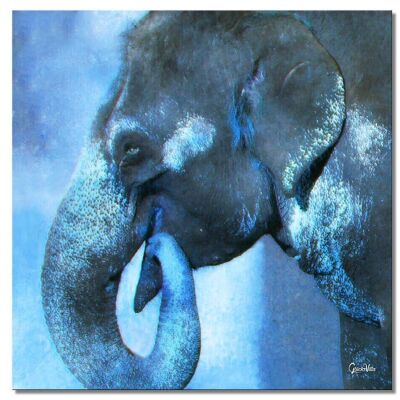 Wandbild: Mein Freund, der Elefant 2 - Quadrat 1:1 - viele Größen & Materialien – Exklusives Fotokunst-Motiv als Leinwandbild oder Acrylglasbild zur Wand-Dekoration