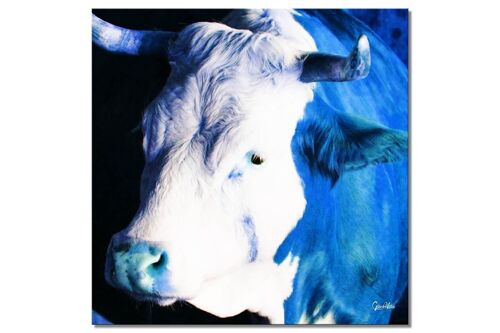 Wandbild: Die blaue Kuh - Quadrat 1:1 - viele Größen & Materialien – Exklusives Fotokunst-Motiv als Leinwandbild oder Acrylglasbild zur Wand-Dekoration