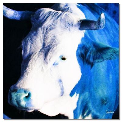 Mural: La vaca azul - Cuadrado 1:1 - Muchos tamaños y materiales - Motivo exclusivo de arte fotográfico como lienzo o imagen de vidrio acrílico para decoración de paredes