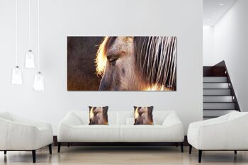 Ensemble de coussins photo décoratifs (2 pièces), motif : cheval sauvage 1 - taille : 40 x 40 cm - housse de coussin premium, coussin décoratif, coussin décoratif, coussin photo, housse de coussin 5