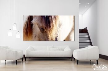 Papier peint : cheval sauvage 2 - format paysage 2:1 - nombreuses tailles et matériaux - motif d'art photographique exclusif comme image sur toile ou image sur verre acrylique pour la décoration murale 4