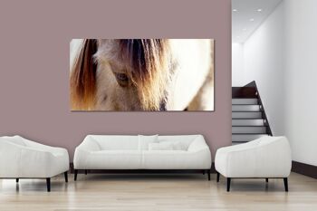 Papier peint : cheval sauvage 2 - format paysage 2:1 - nombreuses tailles et matériaux - motif d'art photographique exclusif comme image sur toile ou image sur verre acrylique pour la décoration murale 7