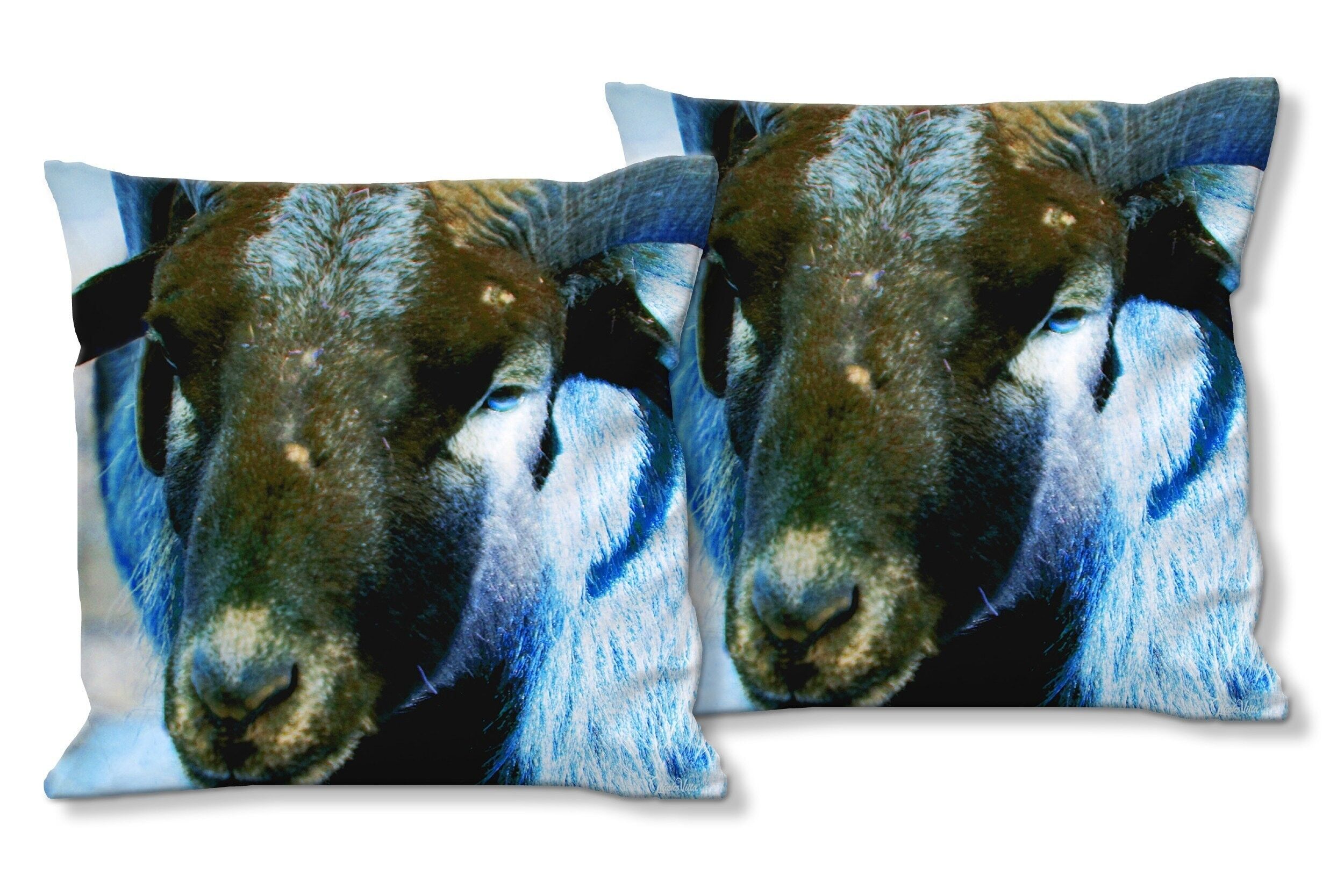 Decorative photo cushion set (2 pieces), motif: You beautiful billy goat - size: 40 x 40 cm - premium cushion cover, decorative cushion, decorative cushion, photo cushion, cushion cover