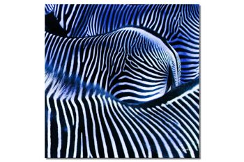 Papier peint : Zebra love 2 - carré 1:1 - nombreuses tailles et matériaux - motif d'art photographique exclusif sous forme d'image sur toile ou d'image en verre acrylique pour la décoration murale 1