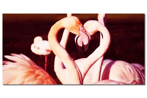 Wandbild: Flamingos in Love - Querformat 2:1 - viele Größen & Materialien – Exklusives Fotokunst-Motiv als Leinwandbild oder Acrylglasbild zur Wand-Dekoration