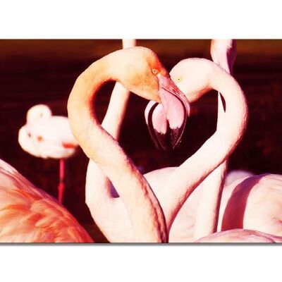 Mural: Flamingos in Love - landscape format 2:1 - many sizes & materials - exclusive photo art motif as a canvas picture or acrylic glass picture for wall decoration