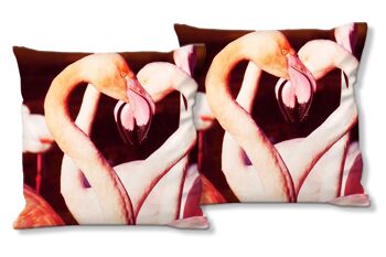 Ensemble de coussins photo décoratifs (2 pièces), motif : Flamants roses amoureux - taille : 40 x 40 cm - housse de coussin haut de gamme, coussin décoratif, coussin décoratif, coussin photo, housse de coussin 1