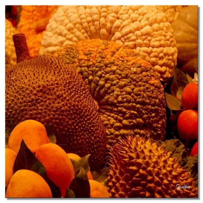 Mural: Fruits 1 - square 1:1 - many sizes & materials - exclusive photo art motif as a canvas or acrylic glass picture for wall decoration