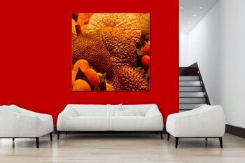 Papier peint : Fruits 1 - carré 1:1 - nombreuses tailles et matériaux - motif d'art photographique exclusif sous forme de toile ou d'image en verre acrylique pour la décoration murale 9