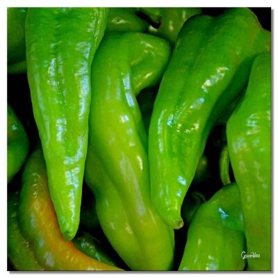 Mural: vegetables 4 peppers - square 1:1 - many sizes & materials - exclusive photo art motif as a canvas or acrylic glass picture for wall decoration