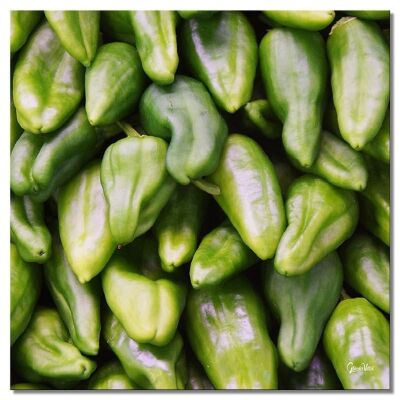 Mural: Vegetables 7 - square 1:1 - many sizes & materials - exclusive photo art motif as a canvas picture or acrylic glass picture for wall decoration