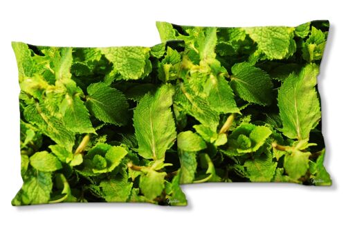 Deko-Foto-Kissen Set (2 Stk.), Motiv: Gemüse 9 Minze - Größe: 40 x 40 cm - Premium Kissenhülle, Zierkissen, Dekokissen, Fotokissen, Kissenbezug