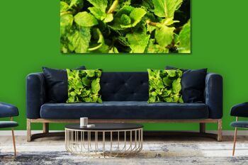 Ensemble de coussins photo décoratifs (2 pièces), motif : légumes 9 menthe - taille : 40 x 40 cm - housse de coussin premium, coussin décoratif, coussin décoratif, coussin photo, housse de coussin 2