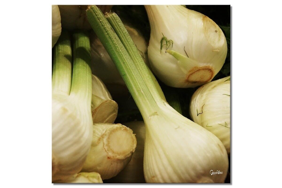 Wandbild: Gemüse 10 - Quadrat 1:1 - viele Größen & Materialien – Exklusives Fotokunst-Motiv als Leinwandbild oder Acrylglasbild zur Wand-Dekoration