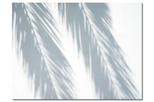 Wandbild: Palmenschatten - viele Größen - Querformat 4:3 - viele Größen & Materialien – Exklusives Fotokunst-Motiv als Leinwandbild oder Acrylglasbild zur Wand-Dekoration