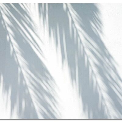 Mural: sombra de palmera - muchos tamaños - formato apaisado 4:3 - muchos tamaños y materiales - motivo de arte fotográfico exclusivo como cuadro de lienzo o cuadro de vidrio acrílico para decoración de paredes