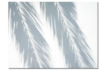 Papier peint : ombre de palmier - plusieurs tailles - format paysage 4:3 - plusieurs tailles et matériaux - motif d'art photographique exclusif comme image sur toile ou image en verre acrylique pour la décoration murale 1