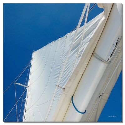 Mural: white sail in front of the sky - square 1:1 - many sizes & materials - exclusive photo art motif as a canvas picture or acrylic glass picture for wall decoration
