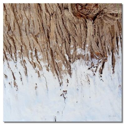 Mural: tree trunk with white - square 1:1 - many sizes & materials - exclusive photo art motif as a canvas picture or acrylic glass picture for wall decoration