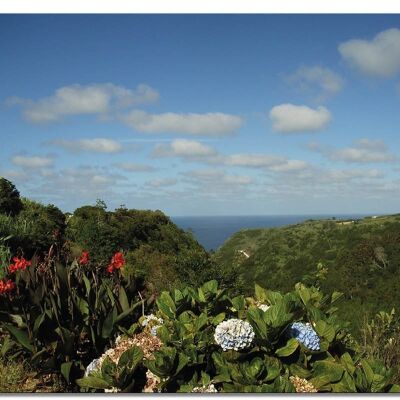 Mural: Mundo vegetal de las Azores - Formato apaisado 4:3 - Muchos tamaños y materiales - Motivo de arte fotográfico exclusivo como cuadro de lienzo o cuadro de vidrio acrílico para decoración de paredes