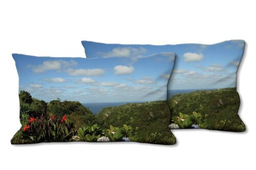 Deko-Foto-Kissen Set (2 Stk.), Motiv: Pflanzenwelt der Azoren - Größe: 80 x 40 cm - Premium Kissenhülle, Zierkissen, Dekokissen, Fotokissen, Kissenbezug