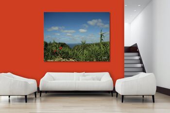 Papier peint : Monde végétal des Açores 2 - format paysage 4:3 - nombreuses tailles et matériaux - motif d'art photographique exclusif sous forme d'image sur toile ou d'image en verre acrylique pour la décoration murale 5
