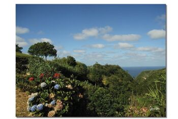 Papier peint : Monde floral des Açores 3 - format paysage 4:3 - nombreuses tailles et matériaux - motif d'art photo exclusif comme image sur toile ou image en verre acrylique pour la décoration murale 1