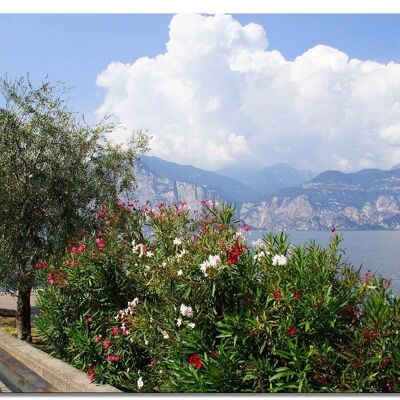 Mural: Lake Garda Promenade 1 - landscape format 4:3 - many sizes & materials - exclusive photo art motif as a canvas picture or acrylic glass picture for wall decoration