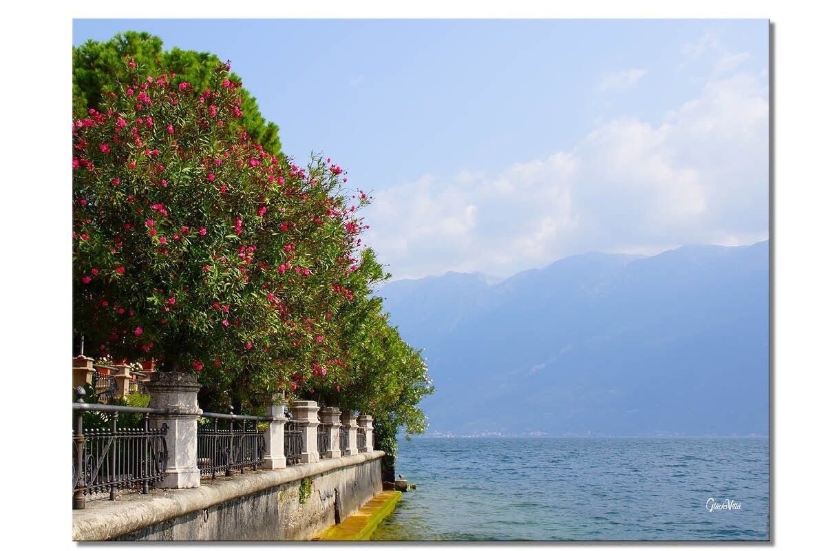 Mural: Paseo del lago de Garda 3 - formato apaisado 4:3 - muchos tamaños y materiales - motivo de arte fotográfico exclusivo como cuadro de lienzo o cuadro de vidrio acrílico para la decoración de paredes